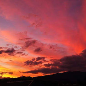 Meet your Posher, Fabiana